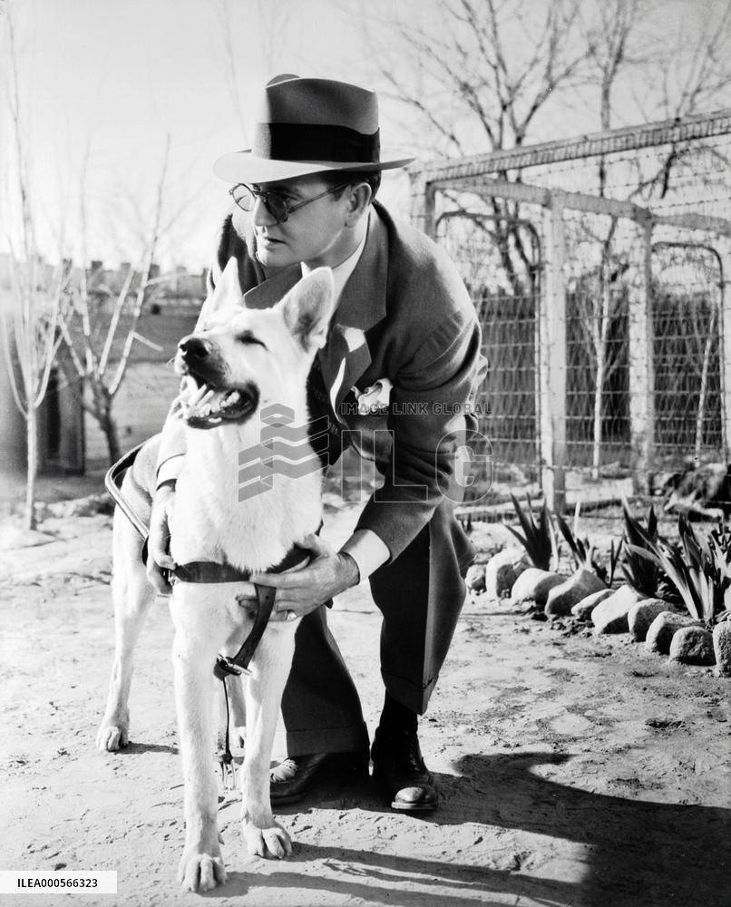 Blind Alibi film (1938)