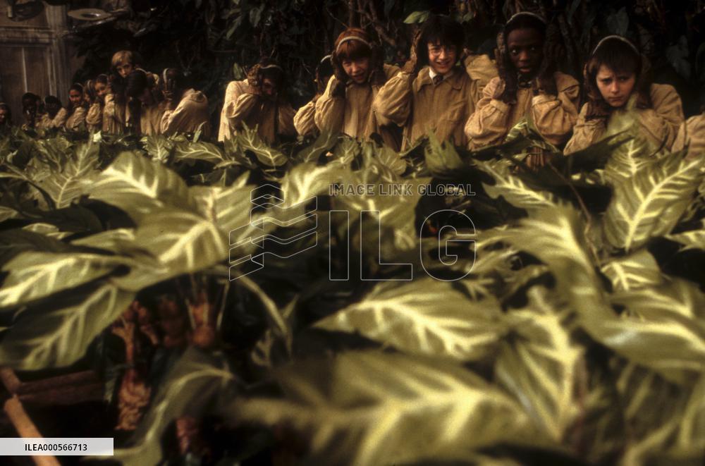 HARRY POTTER AND THE CHAMBER OF SECRETS