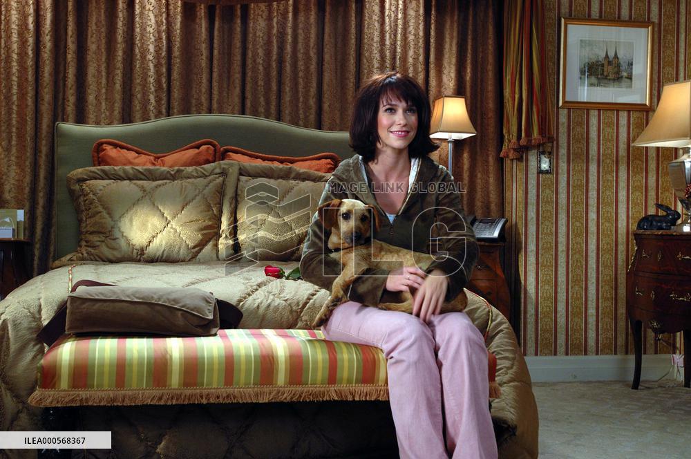 GARFIELD: A TAIL OF TWO KITTIES