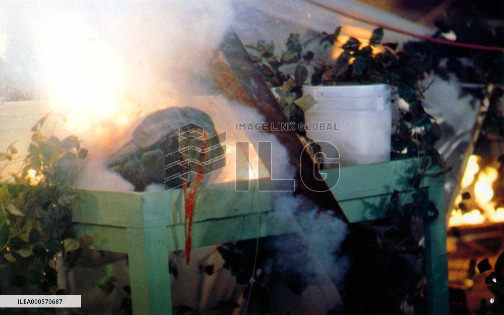 THE INVASION OF THE BODY SNATCHERS