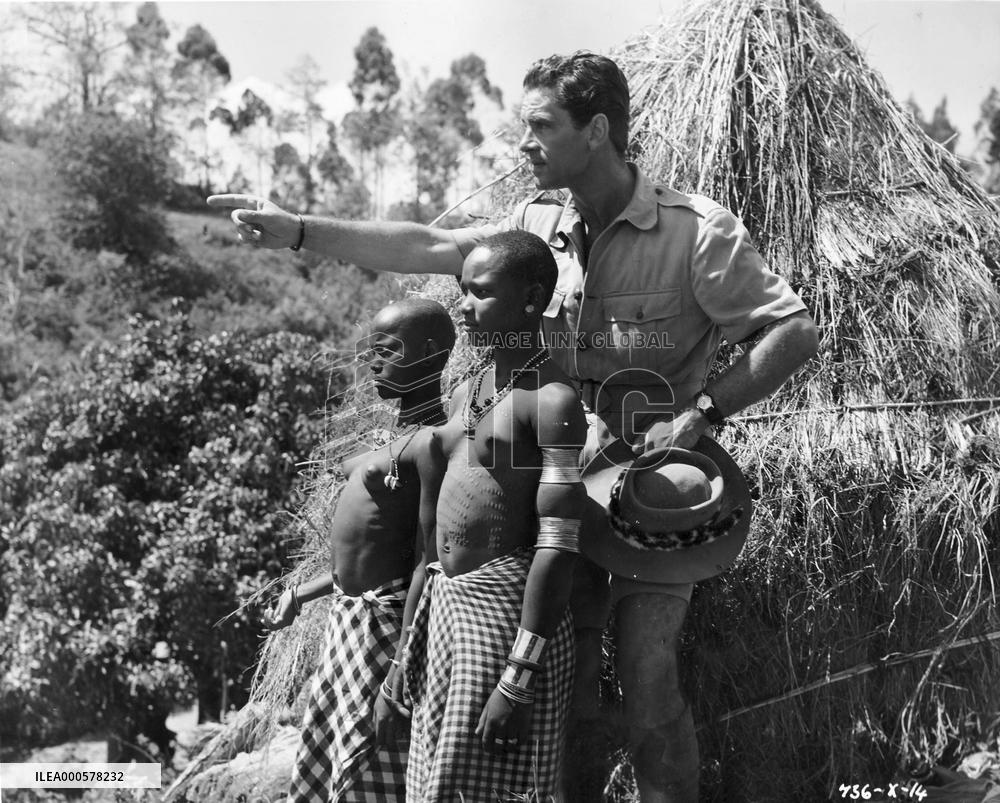 WHERE NO VULTURES FLY