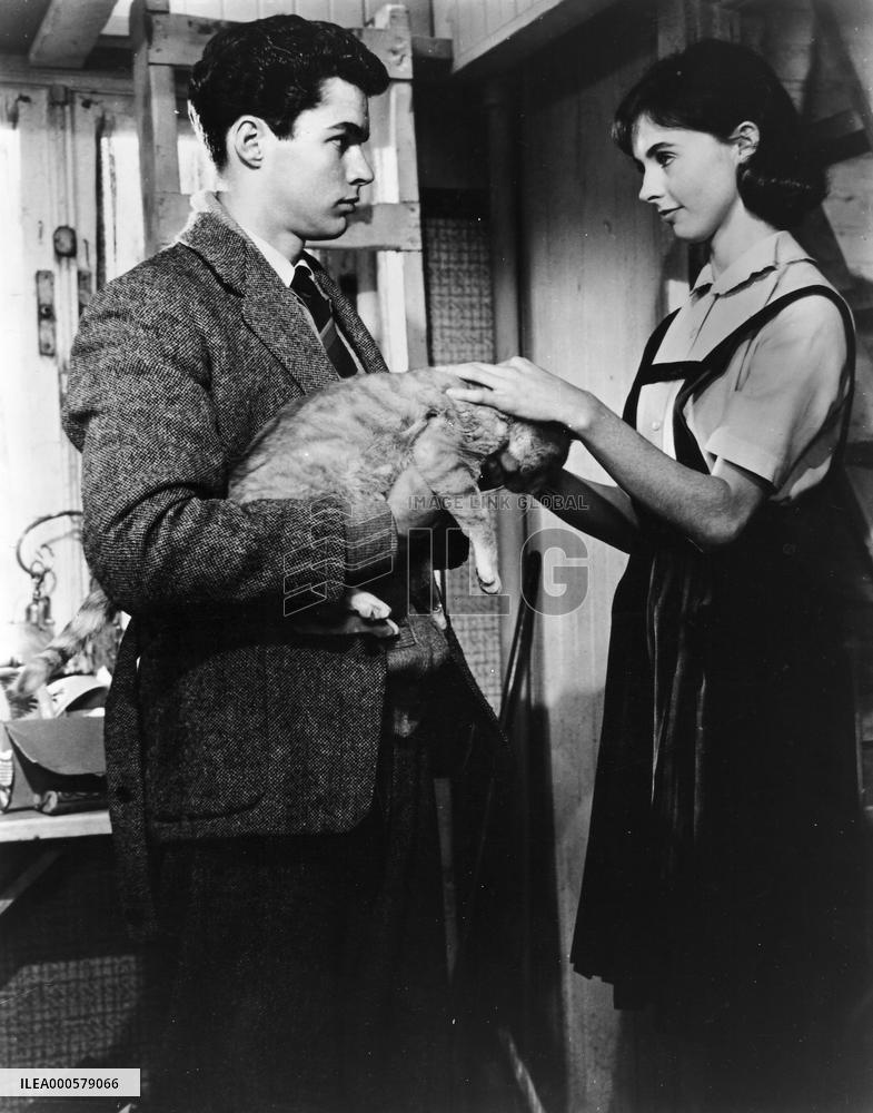 THE DIARY OF ANNE FRANK