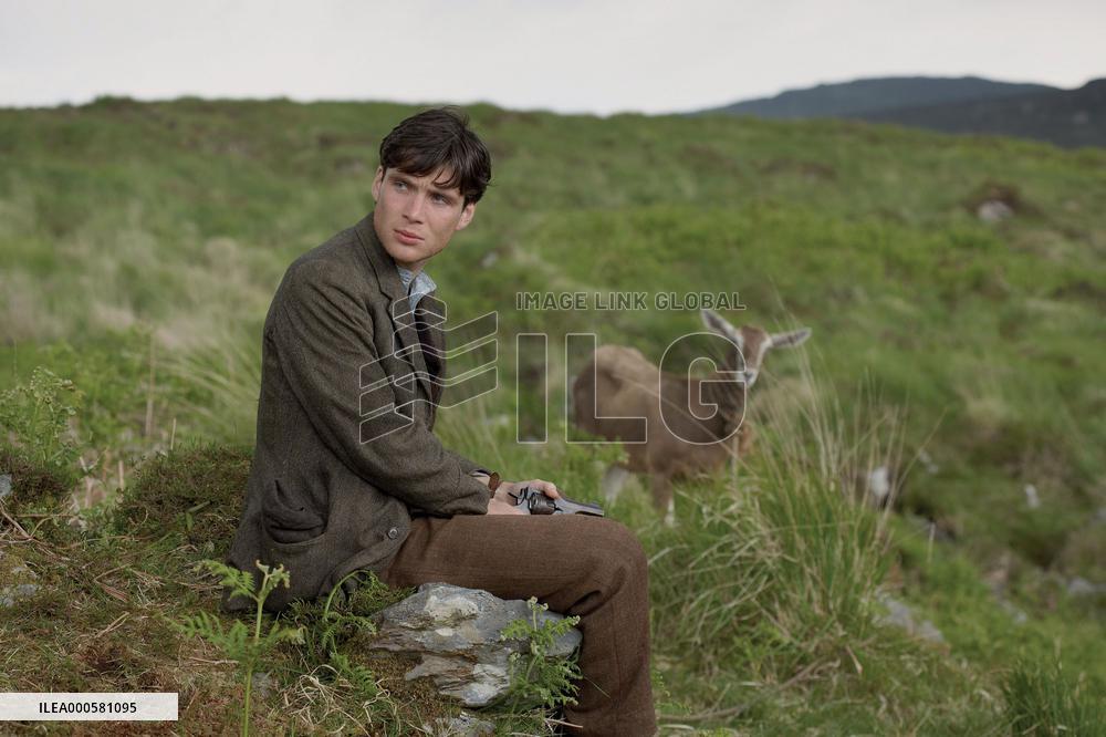 THE WIND THAT SHAKES THE BARLEY