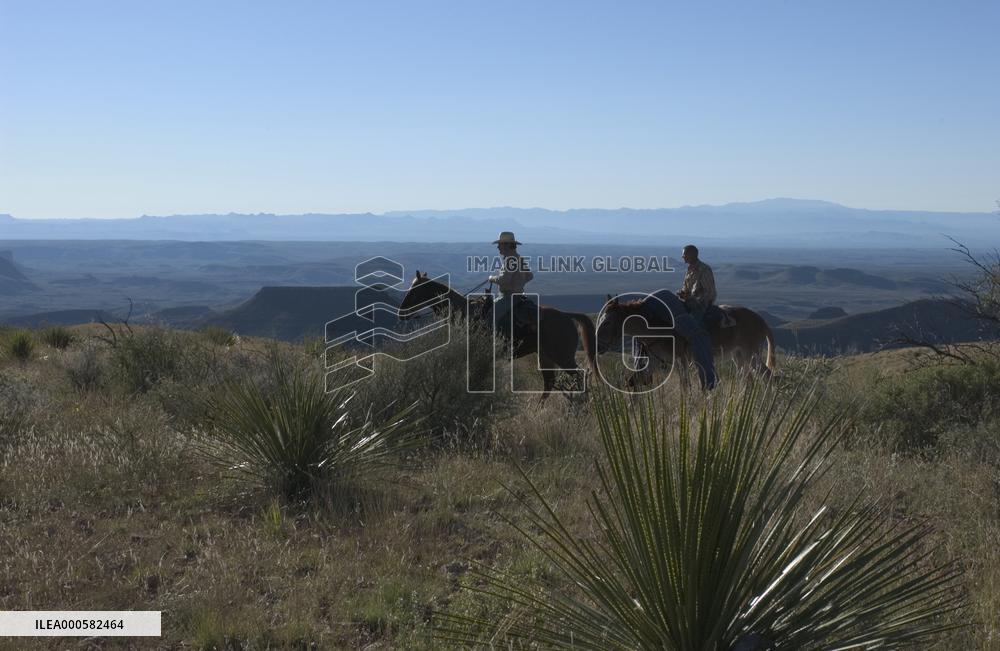 THREE BURIALS OF MELQUIADES ESTRADA