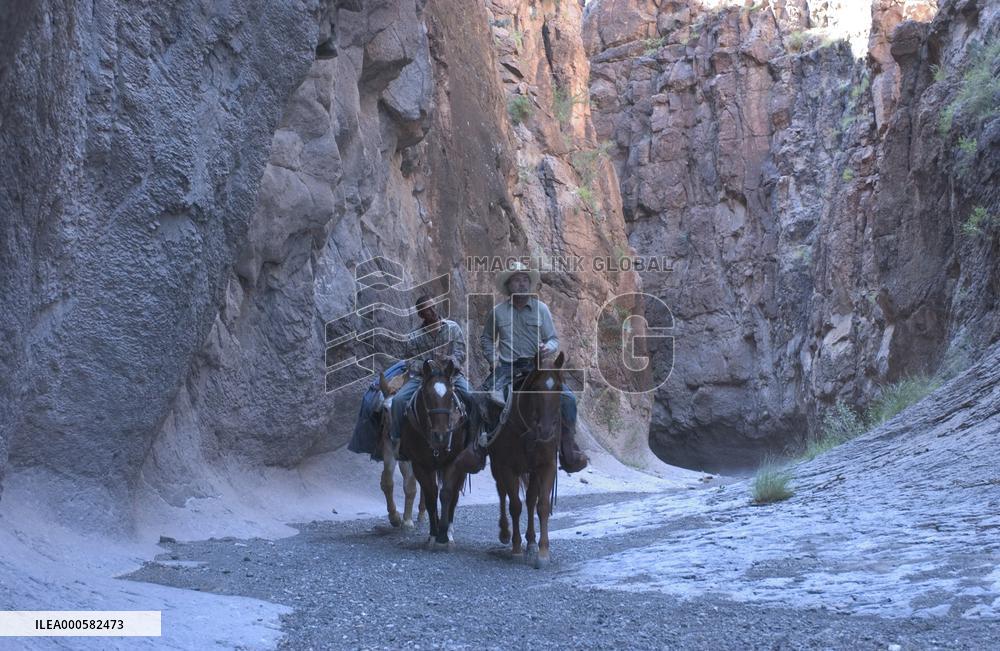 THREE BURIALS OF MELQUIADES ESTRADA