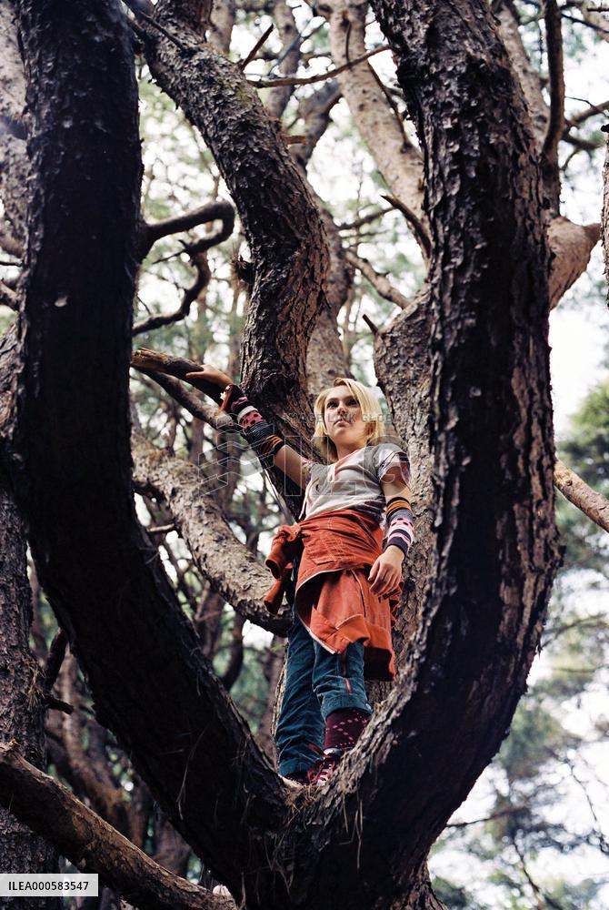 BRIDGE TO TERABITHIA