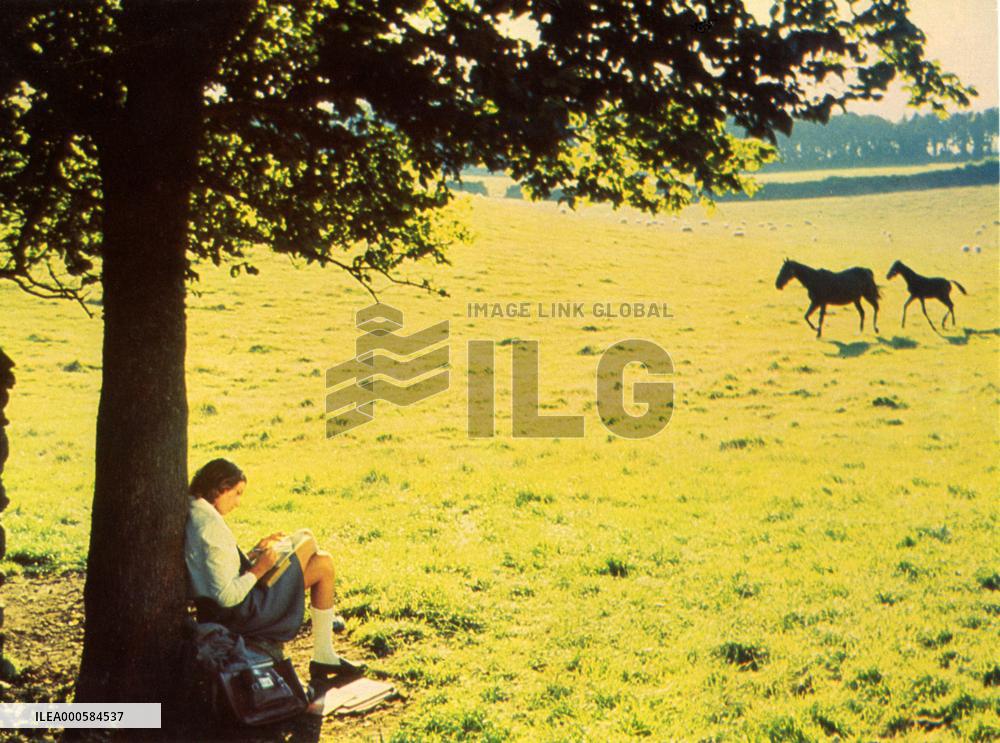 INTERNATIONAL VELVET