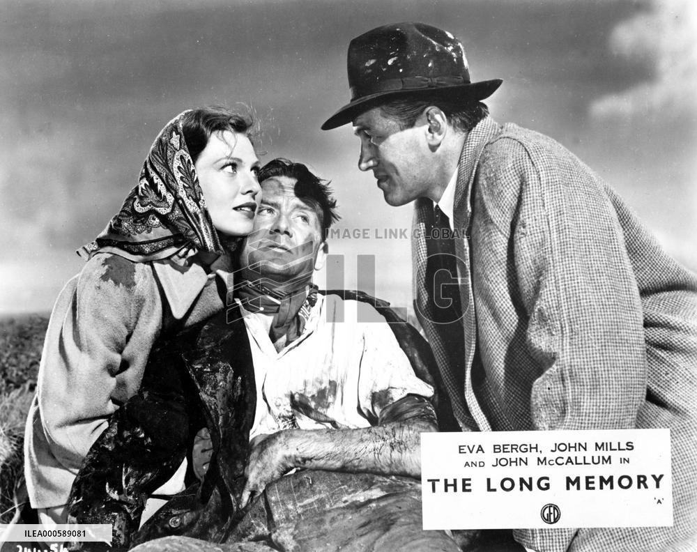 THE LONG MEMORY