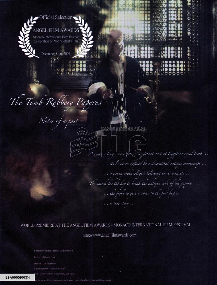 THE TOMB ROBBERY PAPYRUS : NOTES OF A PAST