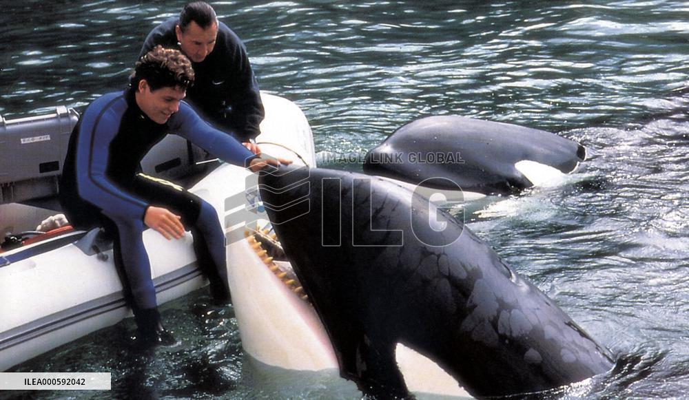 FREE WILLY 3: THE RESCUE