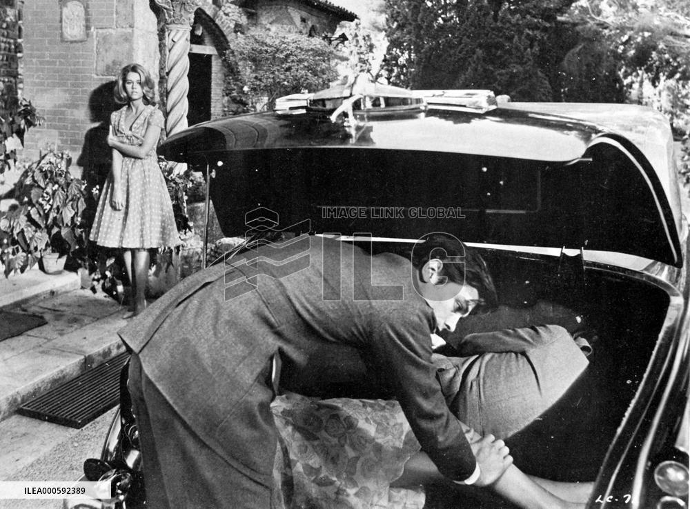 LES FELINS aka The Love Cage