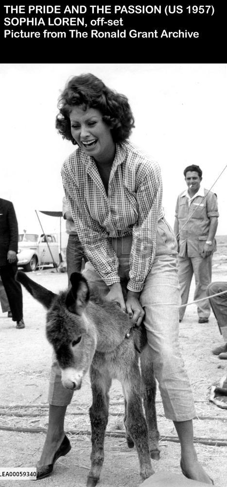 THE PRIDE AND THE PASSION