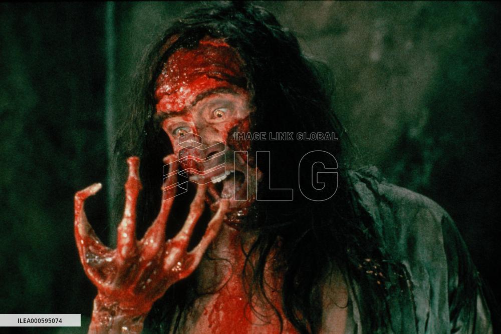 THE COMPANY OF WOLVES