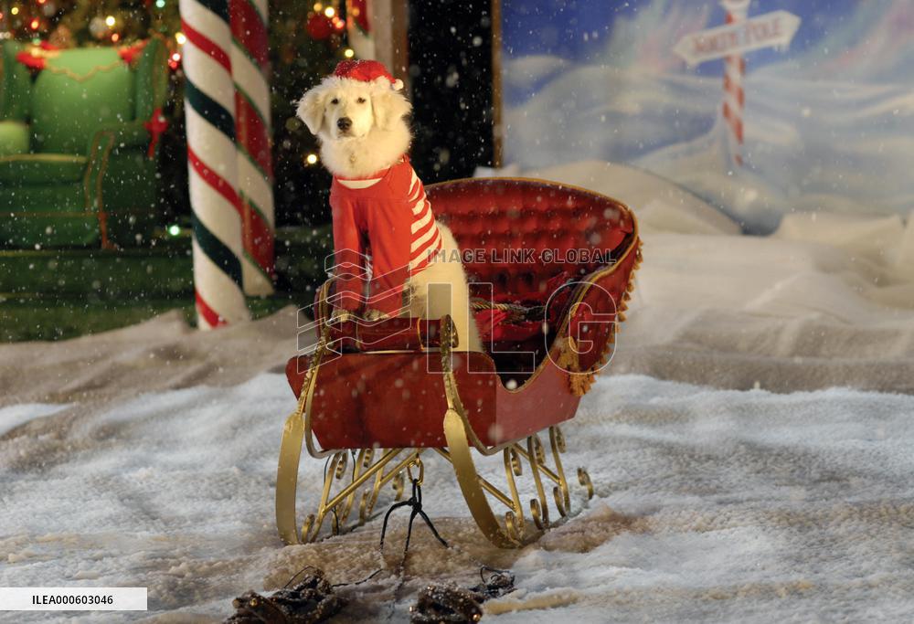 SANTA BUDDIES