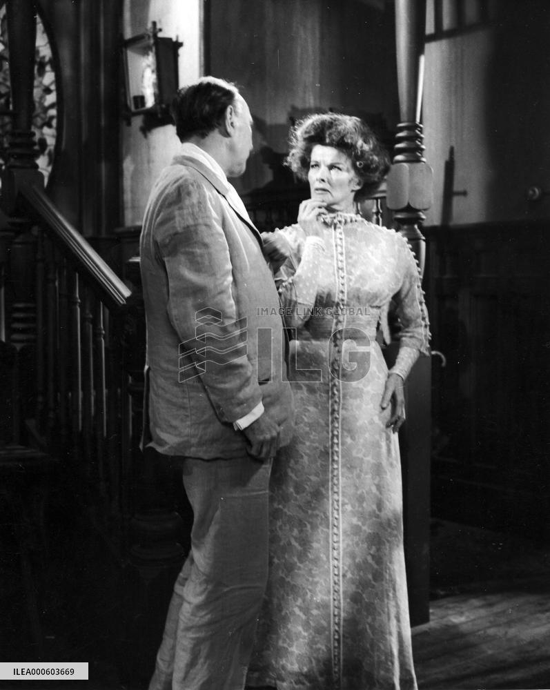 THE LONG DAY'S JOURNEY INTO NIGHT