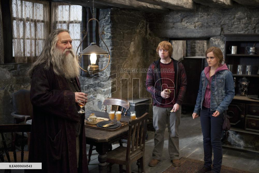 HARRY POTTER AND THE DEATHLY HALLOWS : PART 2