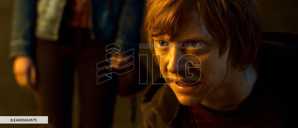 HARRY POTTER AND THE DEATHLY HALLOWS: PART 2