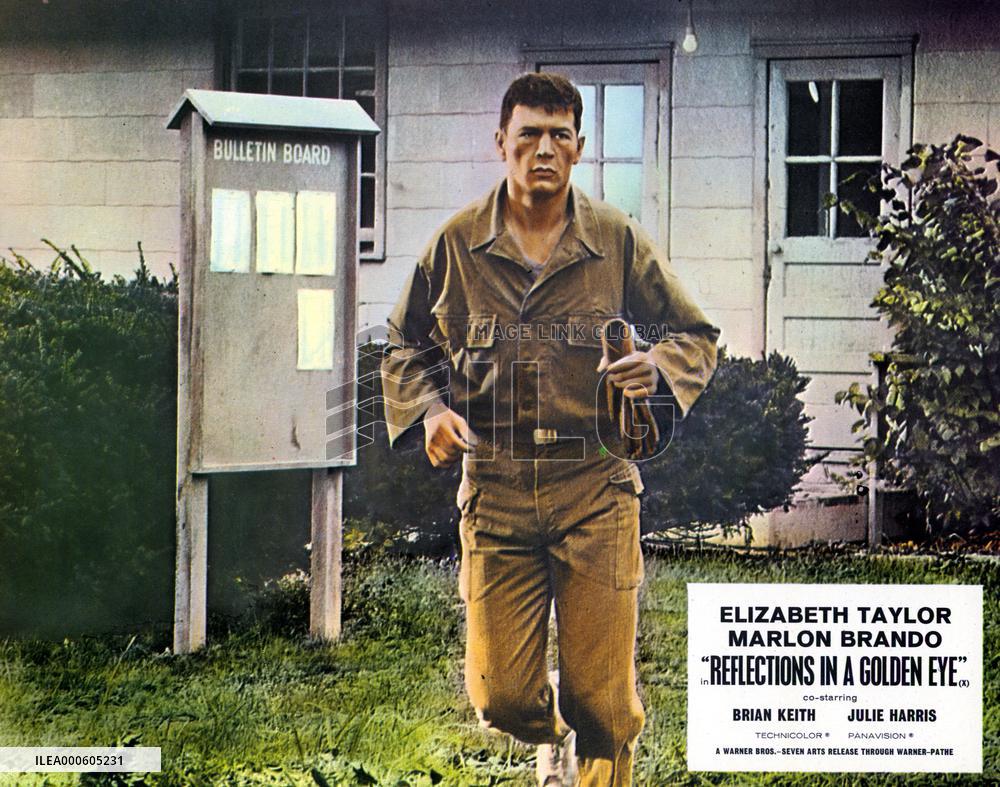 REFLECTIONS IN A GOLDEN EYE