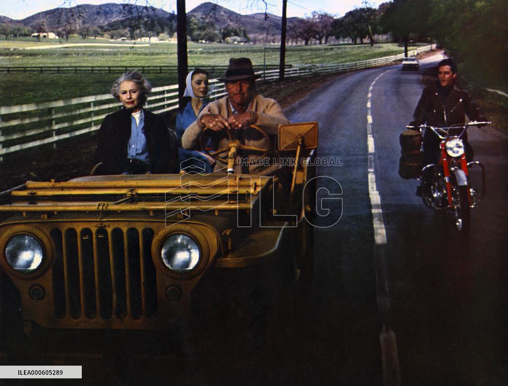 ROUSTABOUT