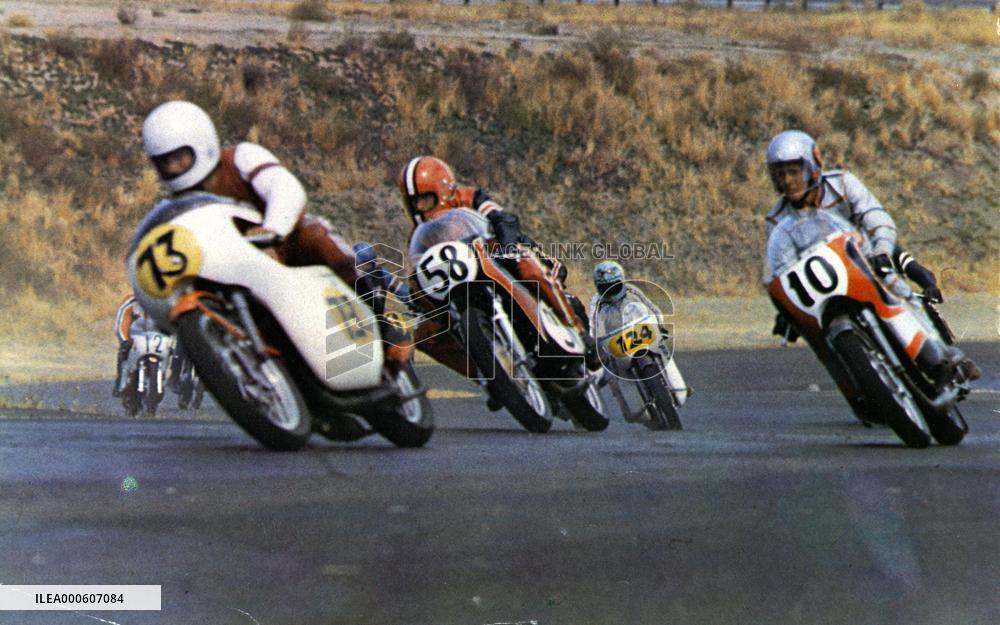 LITTLE FAUSS AND BIG HALSY