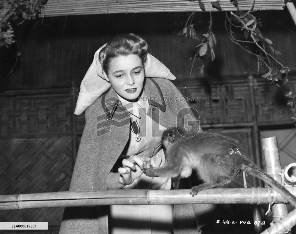 The Hasty Heart (1949) Film