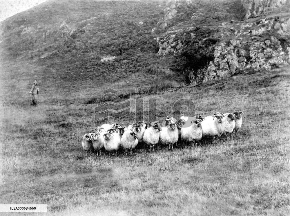 Borrowdale, Castle Crag c1865