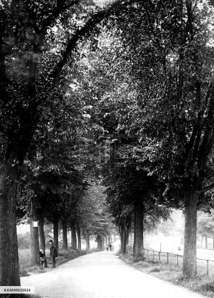 Clifton, Promenade on the Downs 1887