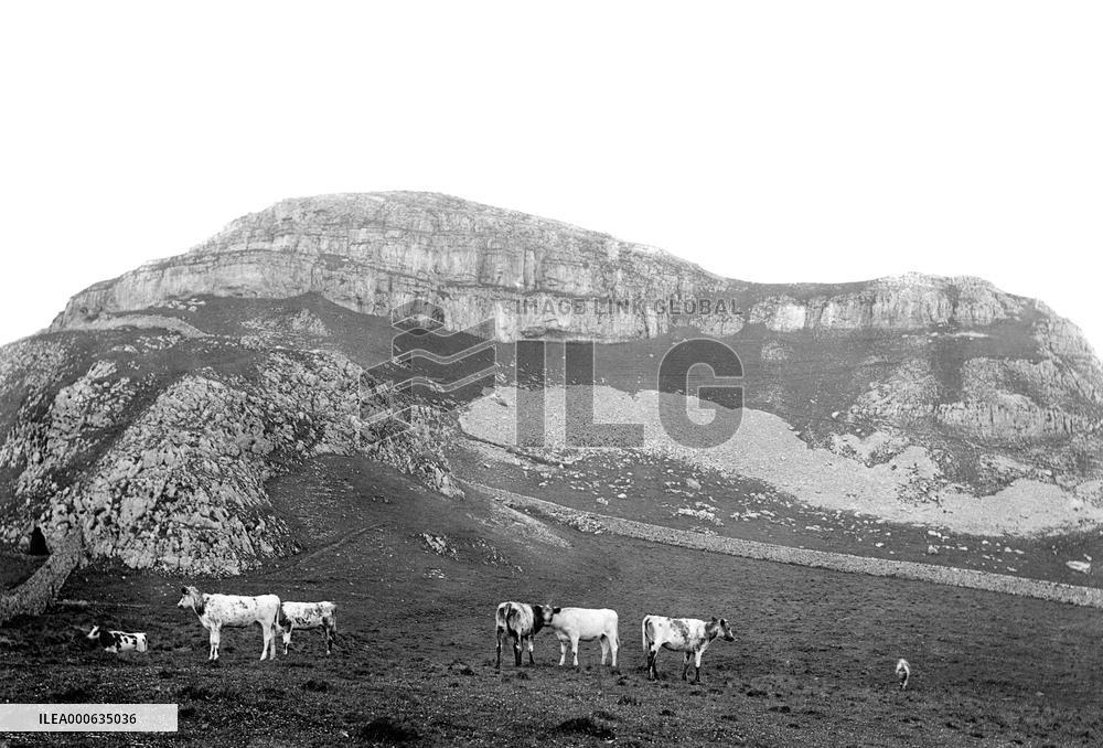 Settle, Attermire Rock 1887