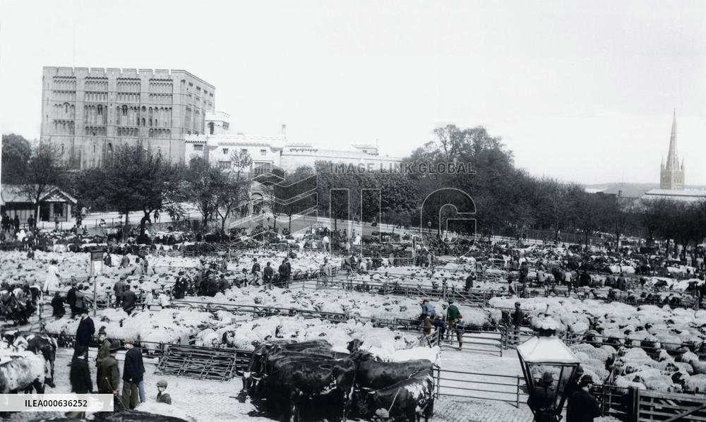 Norwich, Cattle Market and Castle 1896