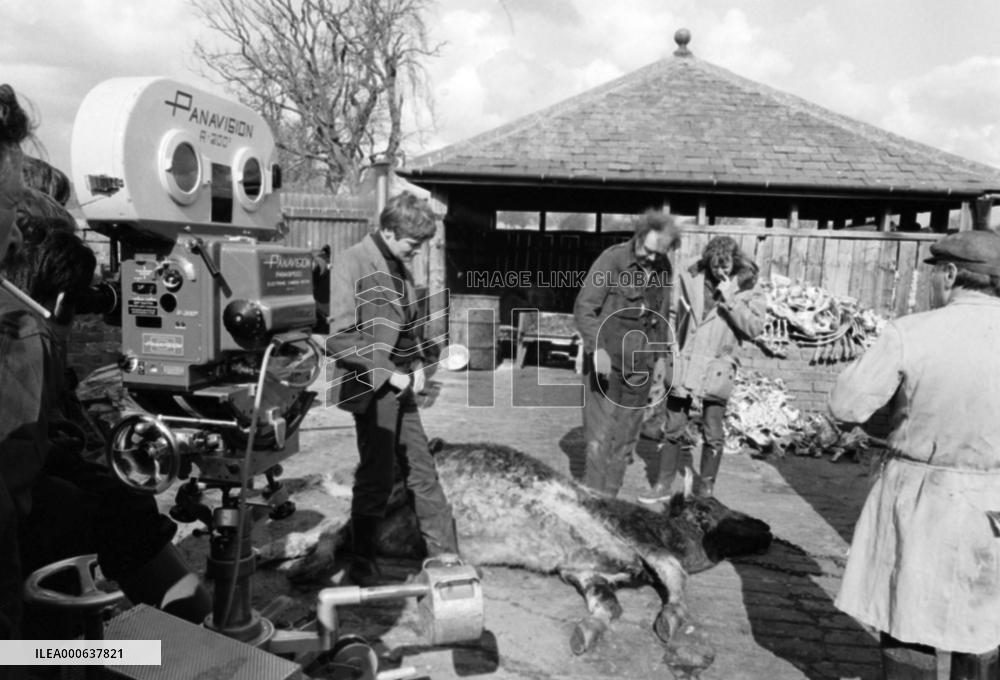 All Creatures Great and Small (1975) Film