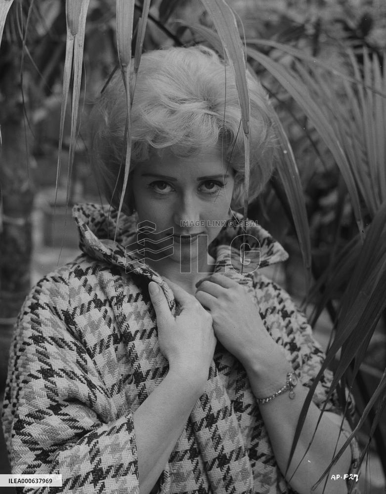 The Amorous Prawn (1962) Film