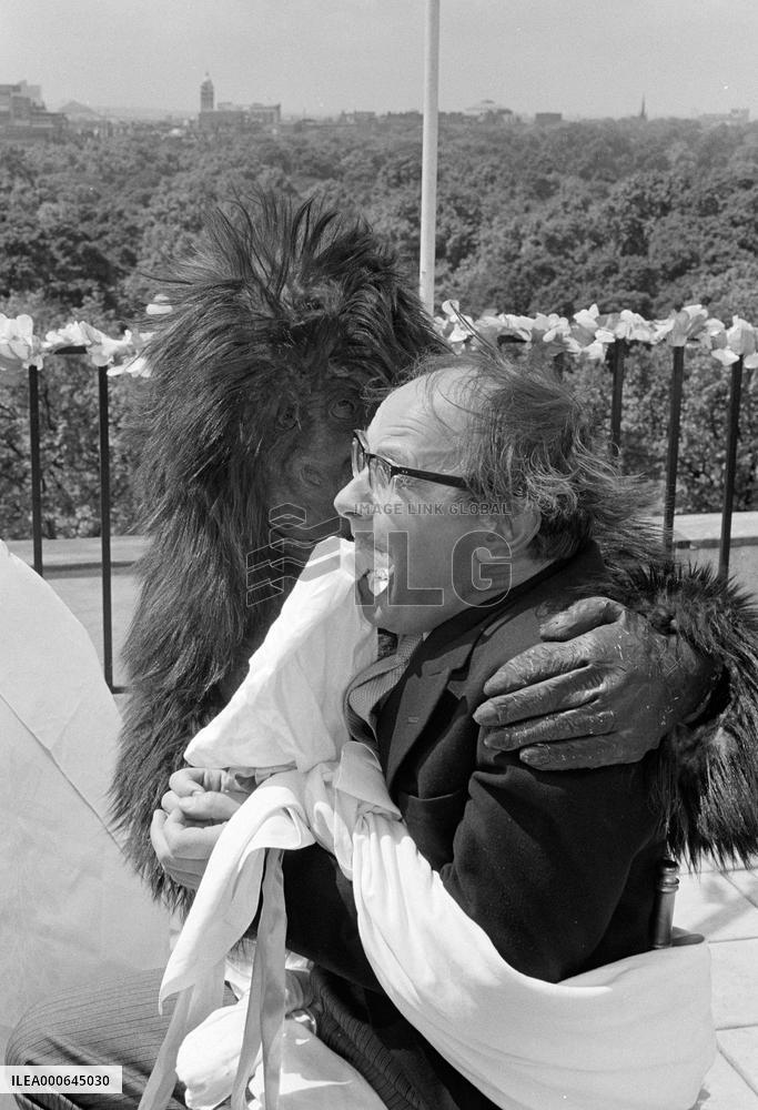 Morgan - A Suitable Case for Treatment (1966) Film