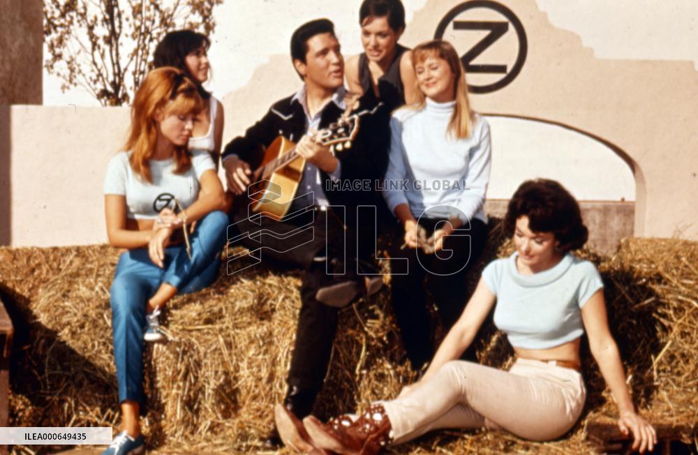 Tickle Me (1965) Film