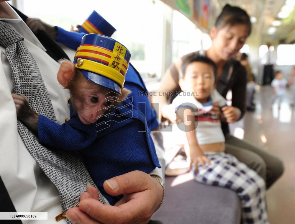 Baby monkeys serve as stationmasters