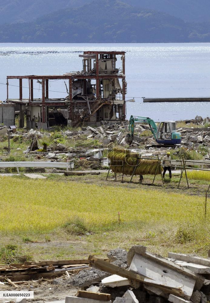Rice harvest in tsunami-hit Iwate Pref.