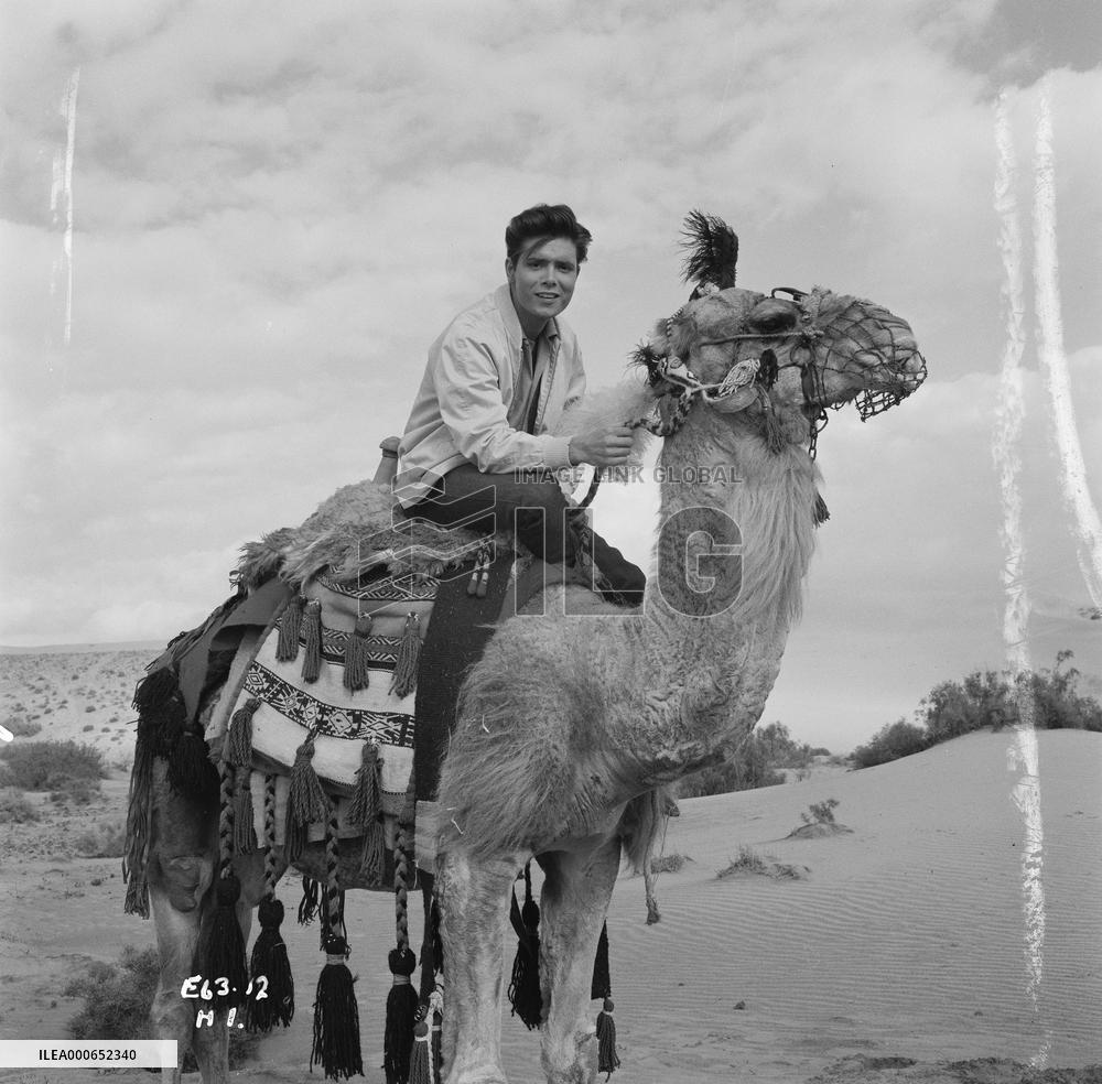 Wonderful Life (1964) (aka Swinger's Paradise) Film