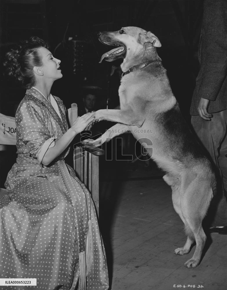 Young Wives Tale (1951) Film