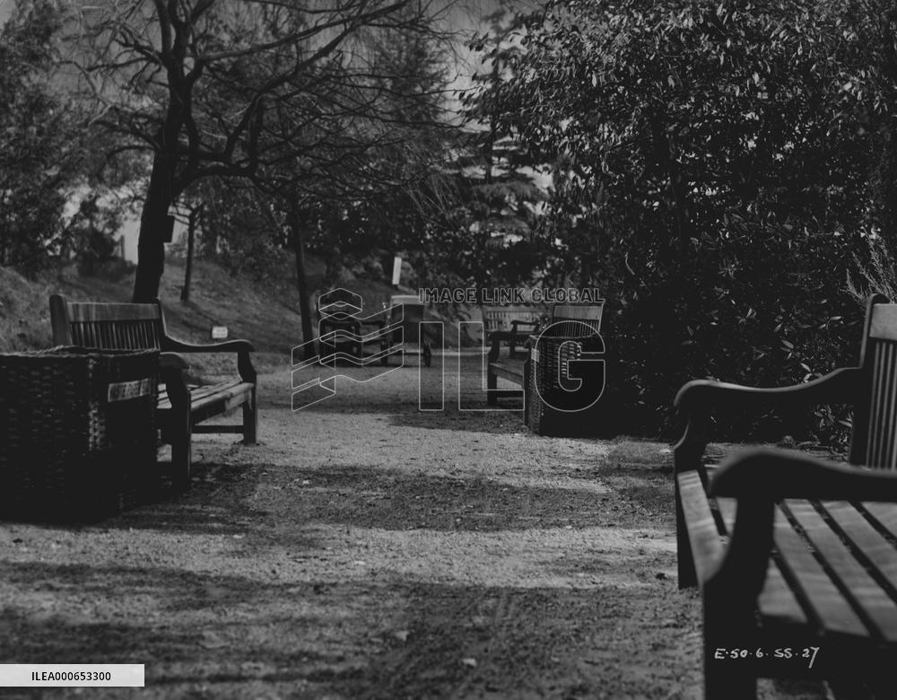 Young Wives Tale (1951) Film