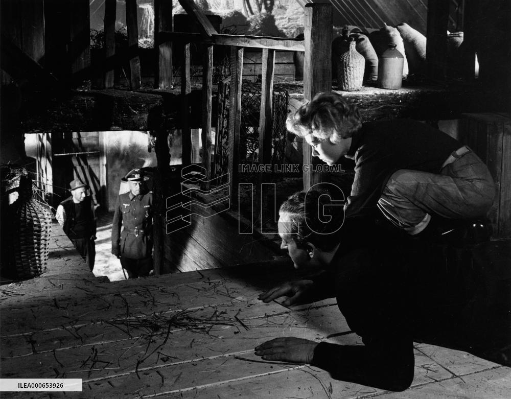 Appointment With Venus film (1951)