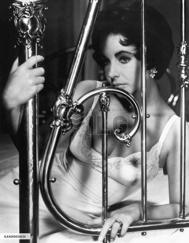 Cat On A Hot Tin Roof film (1958)