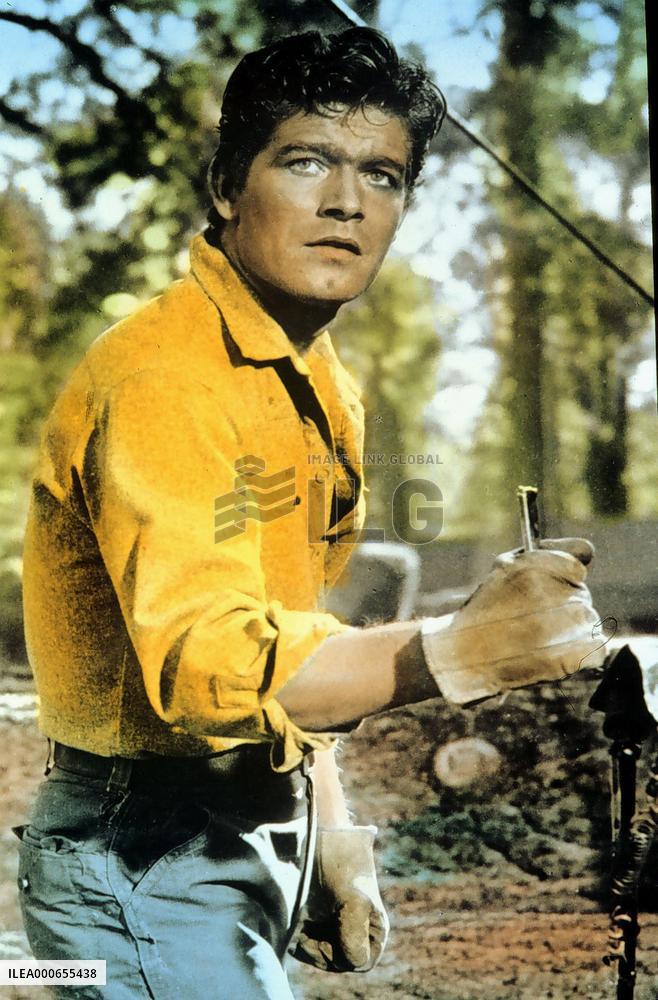 Woman Obsessed film (1959)