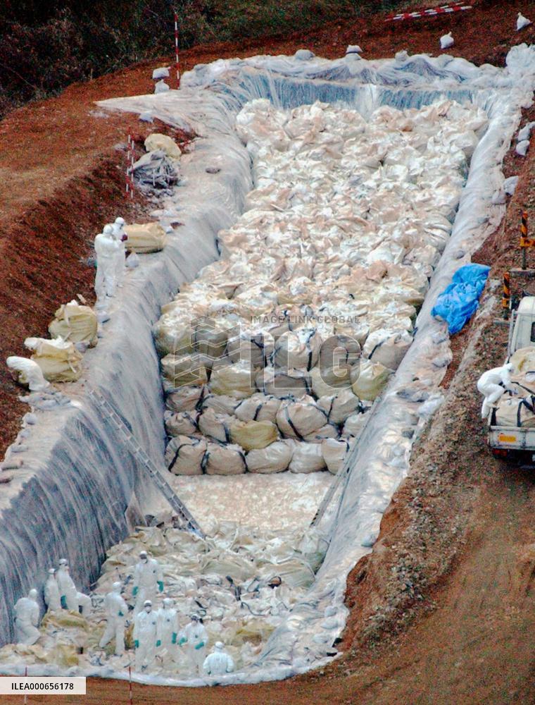 (4)Bird flu scare in Japan