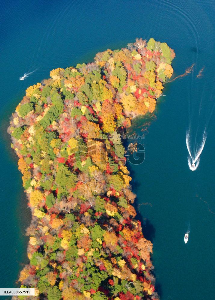 Nikko ablaze with autumn leaves