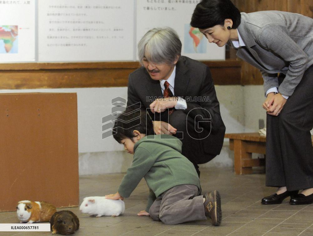 Prince pets a guinea pig
