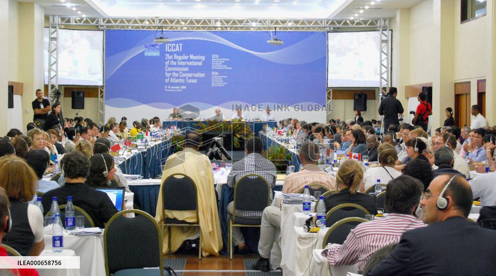 Atlantic, Mediterranean bluefin tuna catch quota cut by 40%