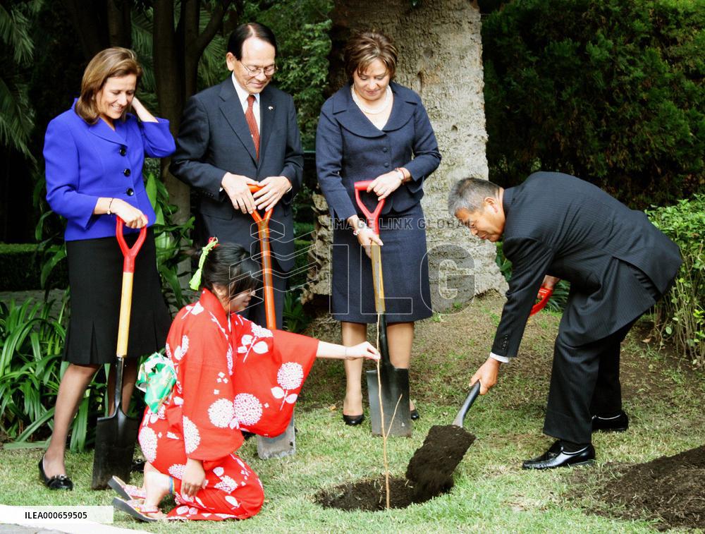 Cherry saplings presented to Mexico