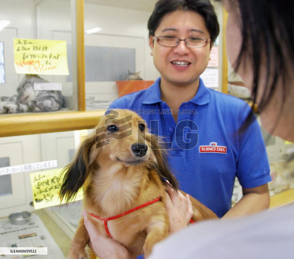 Rental shops for pets, undergarments, bikes thriving amid slump