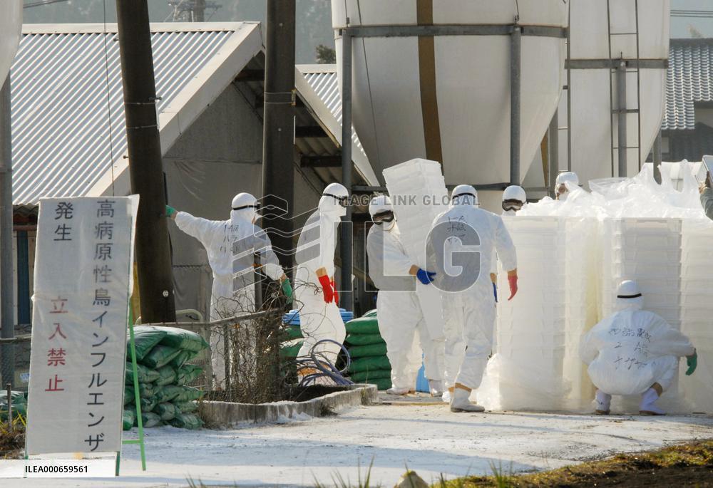 12,000 chicks at bird-flu infected Miyazaki farm incinerated