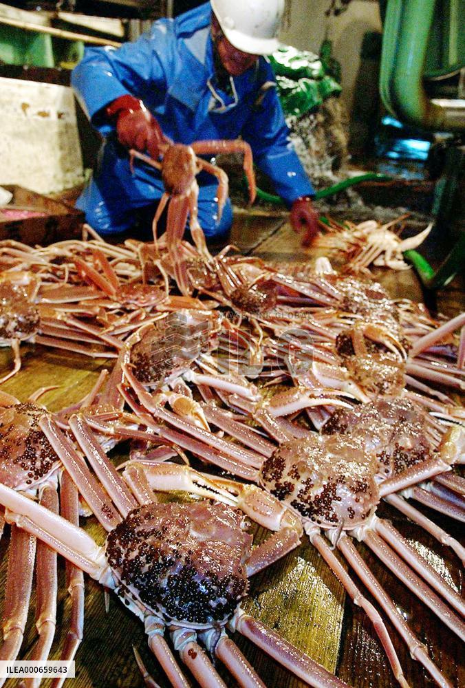 Season's first haul of snow crabs landed