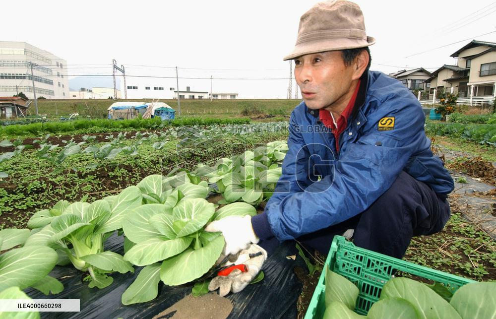 Salesman turns farmer